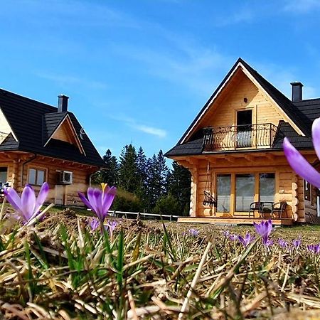 Jedroskowe Chatki Witów Dış mekan fotoğraf