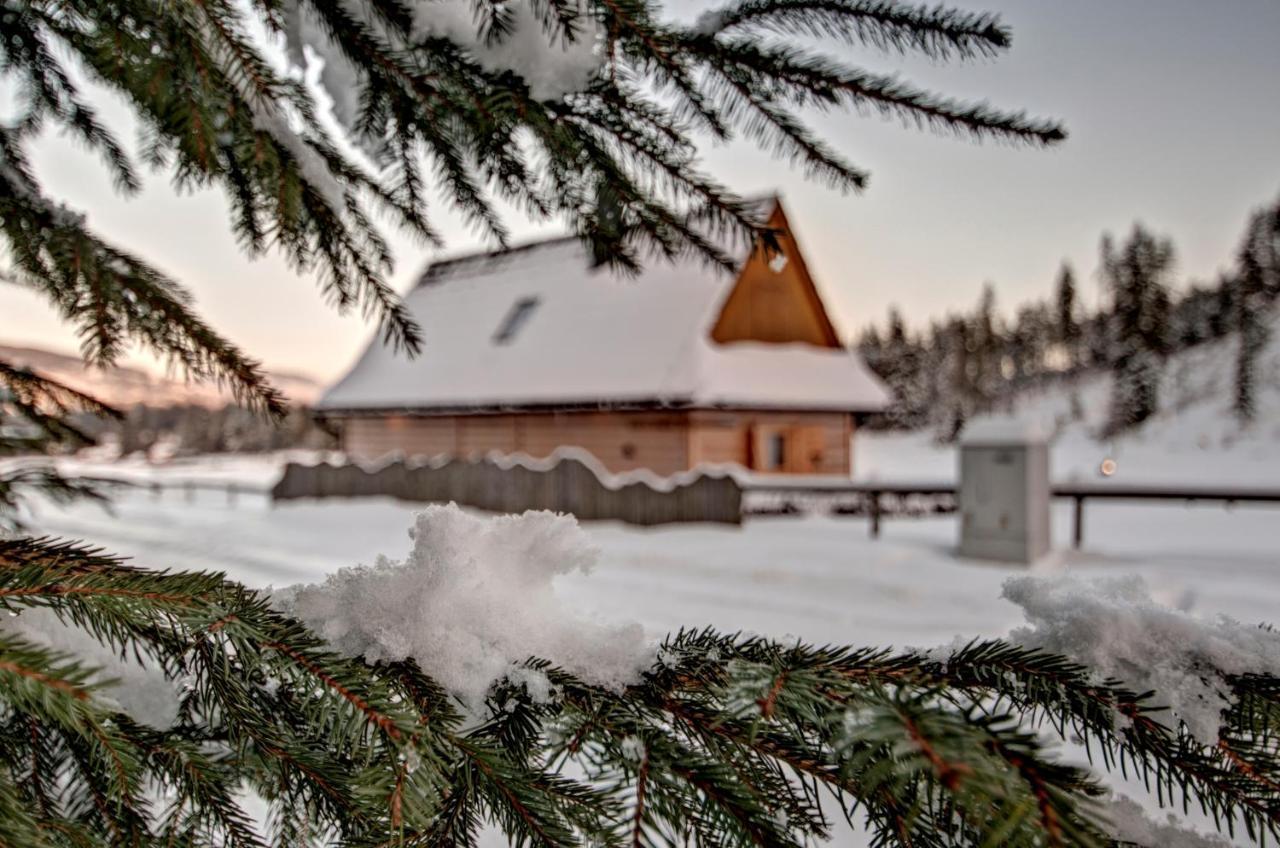 Jedroskowe Chatki Witów Dış mekan fotoğraf