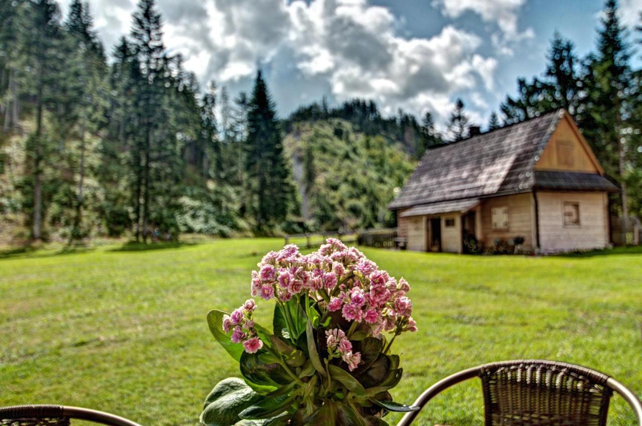 Jedroskowe Chatki Witów Dış mekan fotoğraf