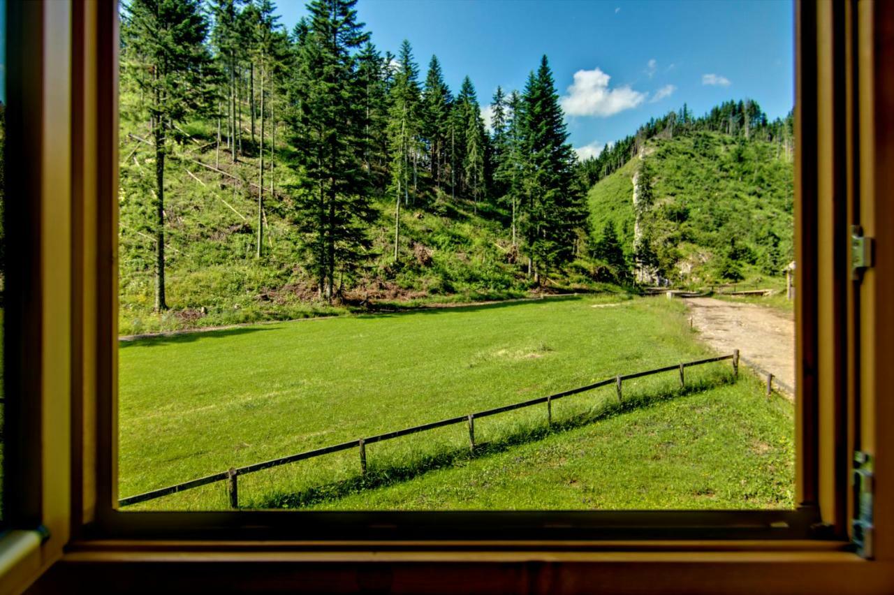 Jedroskowe Chatki Witów Dış mekan fotoğraf